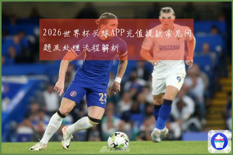 2026世界杯买球APP充值提款常见问题及处理流程解析