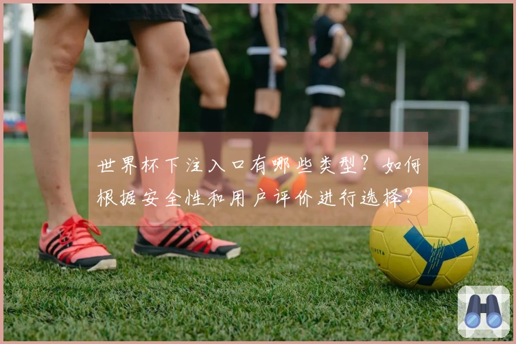 世界杯下注入口有哪些类型？如何根据安全性和用户评价进行选择？