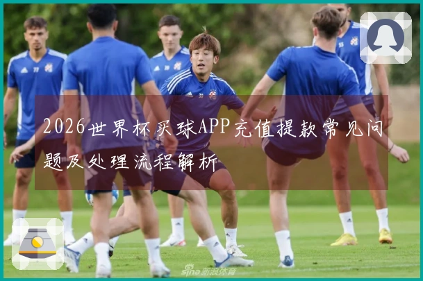 2026世界杯买球APP充值提款常见问题及处理流程解析